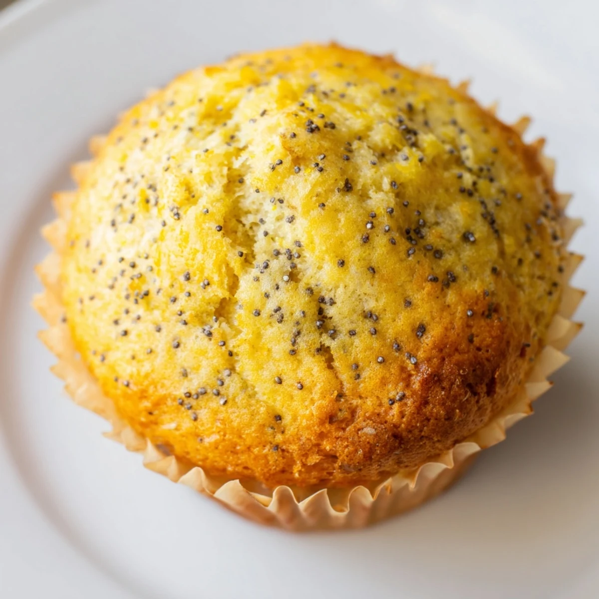 Moist lemon poppy seed muffins speckled with seeds and topped with bright citrus zest